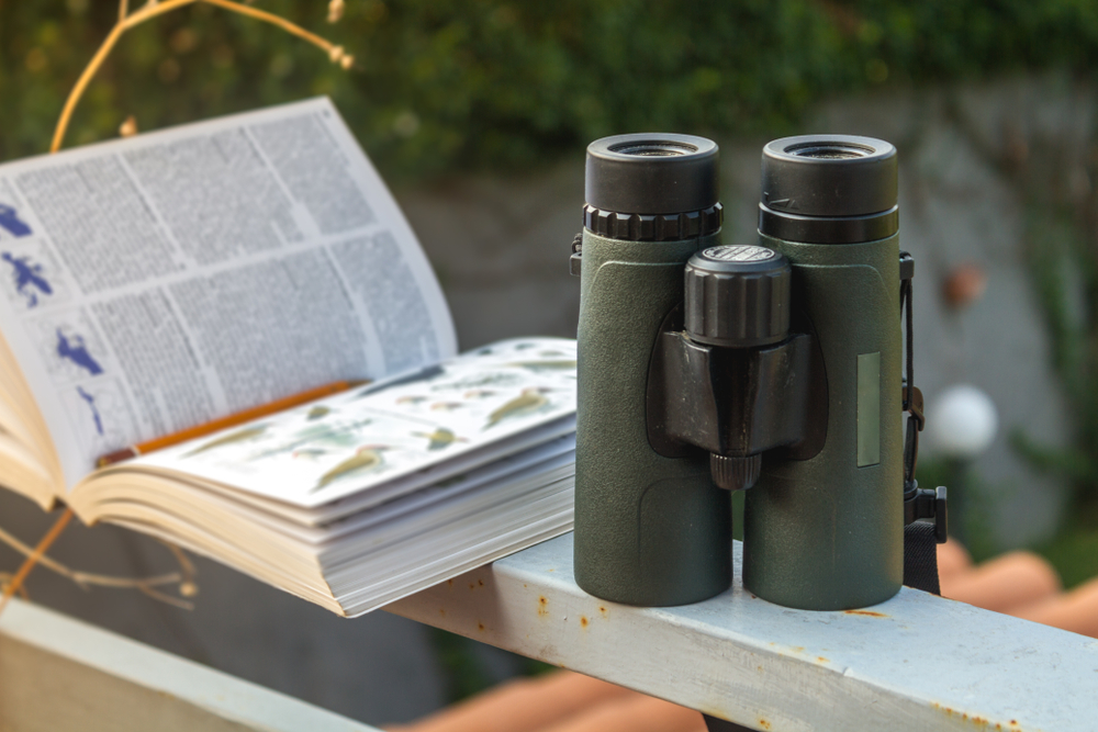 Binoculars and bird watching guide