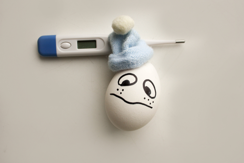 Egg Freezing: Assisted Fertility Options